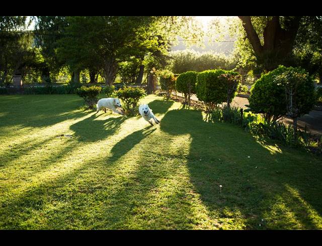 4 BEDROOM HOUSE FOR SALE IN NIEU BETHESDA